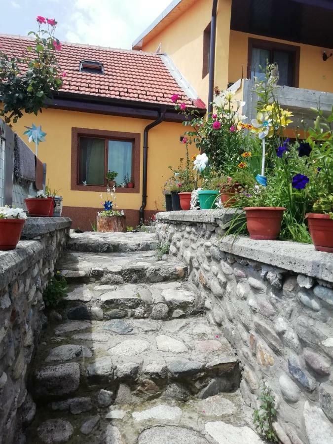 Casa Darius Lejlighed Orşova Eksteriør billede